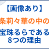一条莉々華の中の人(前世)が宝珠るらの理由8選！顔バレや年齢と身長も